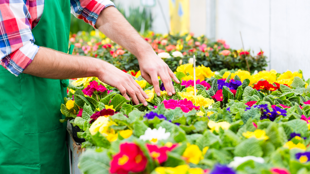 Best Tattoo Shops in Chandigarh Tattoo Removal In Chandigarh